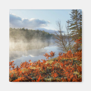Ferns on Shoreline Paradise, Michigan Magnet