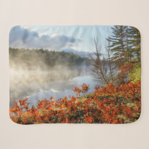 Ferns on Shoreline   Paradise, Michigan Sherpa Blanket