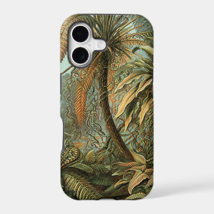 Ferns Palm Tree Antique Botanical Ferns Art