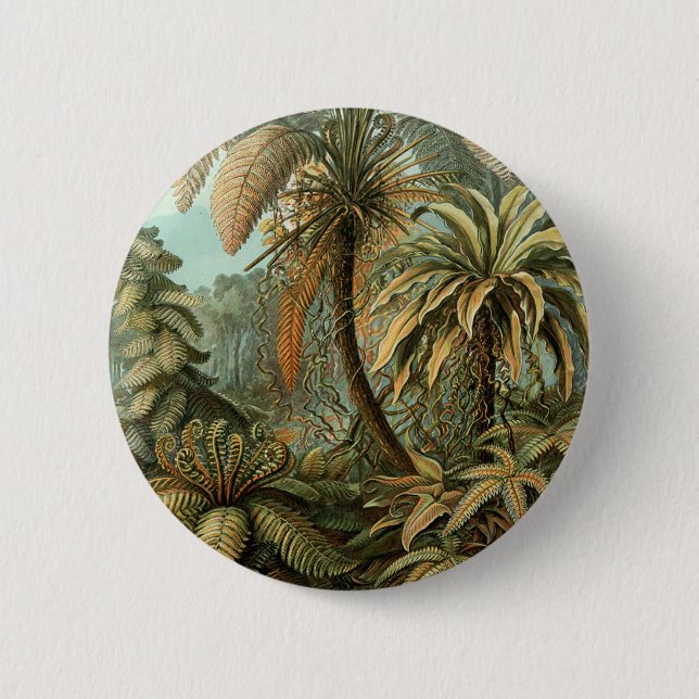 Ferns Palm Tree Antique Botanical Ferns Art 2 Inch Round Button (Front)