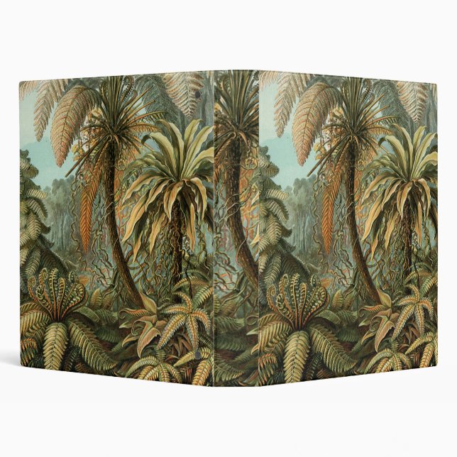 Ferns Palm Tree Antique Botanical Ferns Art Binder (Background)