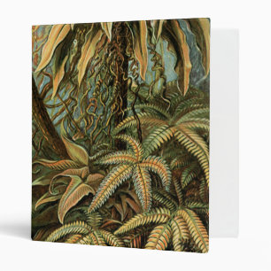 Ferns Palm Tree Antique Botanical Ferns Art Binder