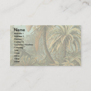 Ferns Palm Tree Antique Botanical Ferns Art Business Card