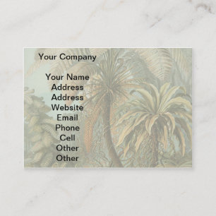 Ferns Palm Tree Antique Botanical Ferns Art Business Card
