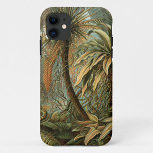 Ferns Palm Tree Antique Botanical Ferns Art iPhone 11 Case
