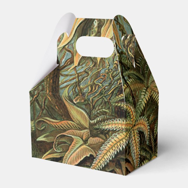 Ferns Palm Tree Antique Botanical Ferns Art Favor Box (Front Side)