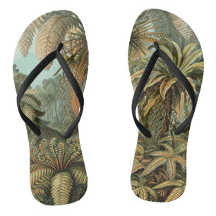 Ferns Palm Tree Antique Botanical Ferns Art Flip Flops