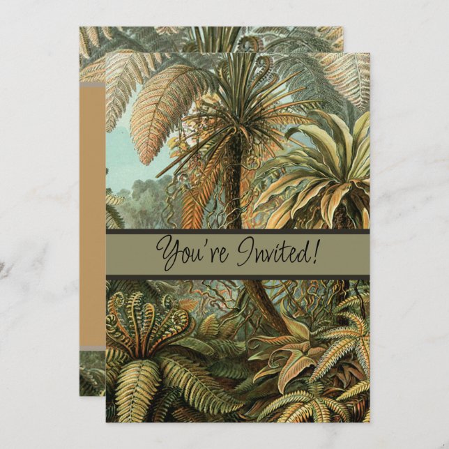 Ferns Palm Tree Antique Botanical Ferns Art Invitation (Front/Back)