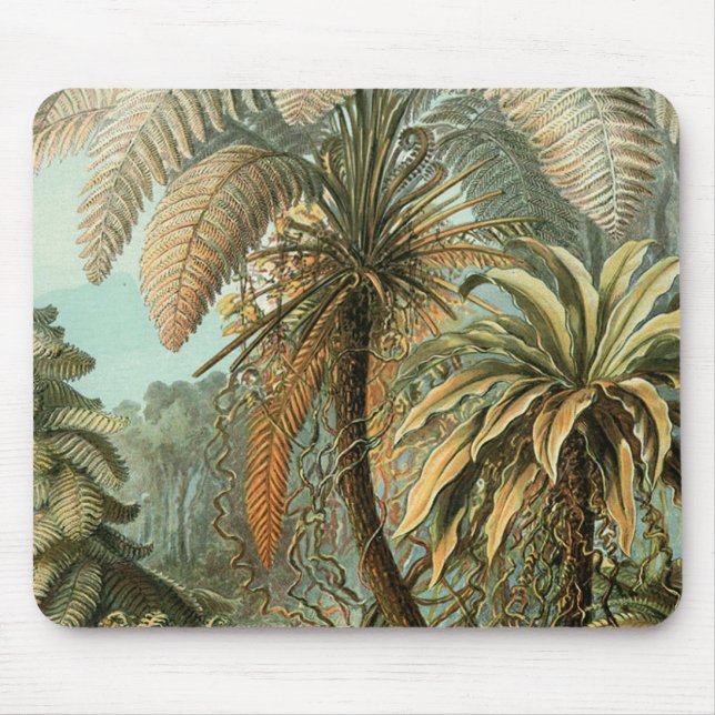 Ferns Palm Tree Antique Botanical Ferns Art Mouse Pad (Front)