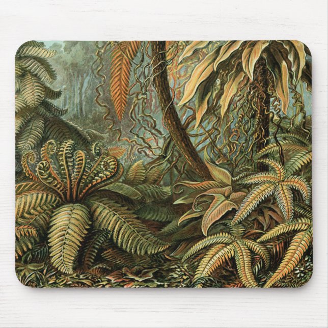 Ferns Palm Tree Antique Botanical Ferns Art Mouse Pad (Front)