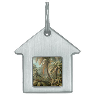 Ferns Palm Tree Antique Botanical Ferns Art Pet ID Tag