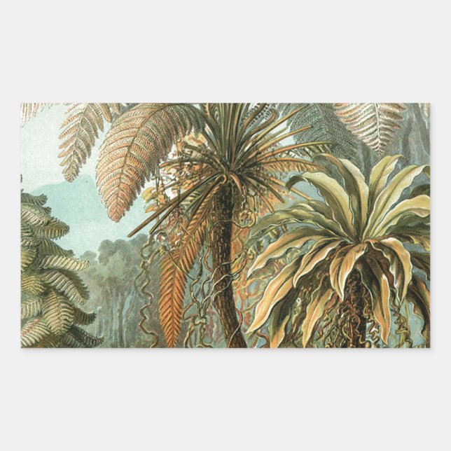 Ferns Palm Tree Antique Botanical Ferns Art Sticker (Front)