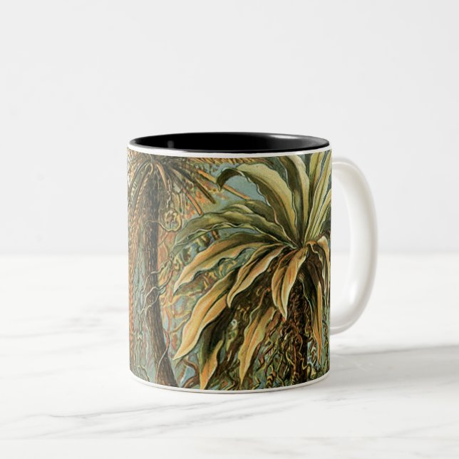 Ferns Palm Tree Antique Botanical Ferns Art Two-Tone Coffee Mug (Front Right)
