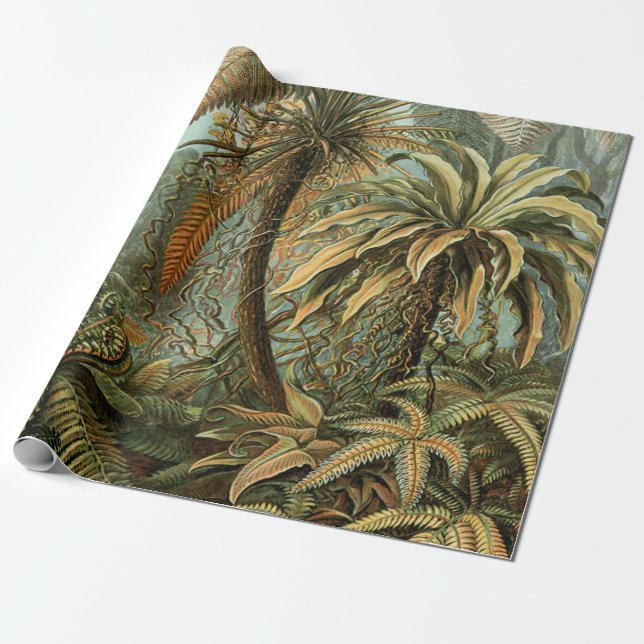 Ferns Palm Tree Antique Botanical Ferns Art Wrapping Paper (Unrolled)
