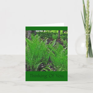 "FERNS"/THINKING OF YOU" CARD