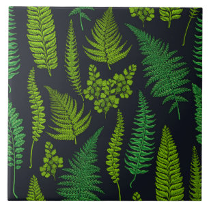 Ferns Tile