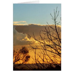 Ferntree Gully Skyscapes CARD