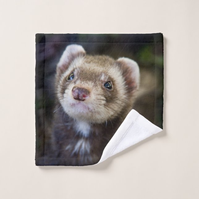 Ferret (Gant de toilette)