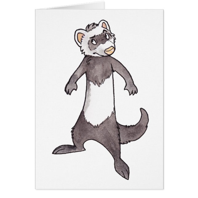 Ferret (Front)