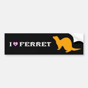Ferret (5) bumper sticker