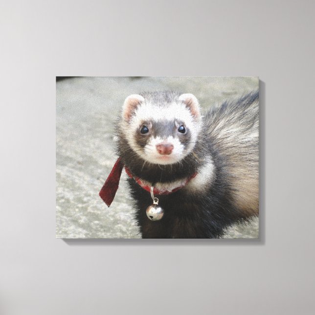 Ferret Canvas Print (Front)
