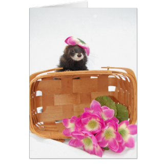 Ferret Card