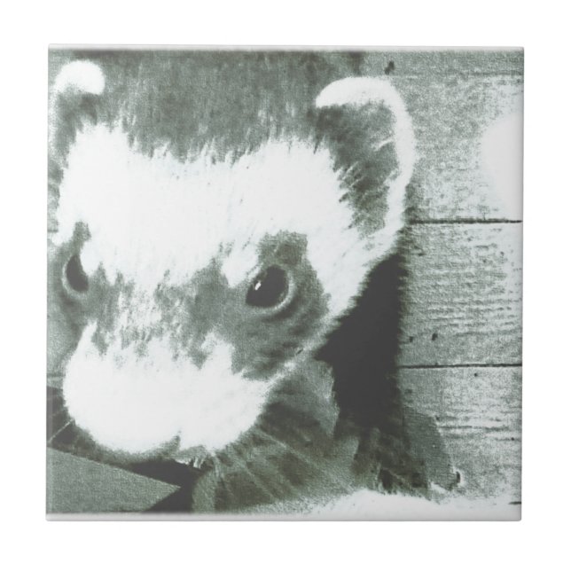 Ferret Cute Picture Tile (Front)
