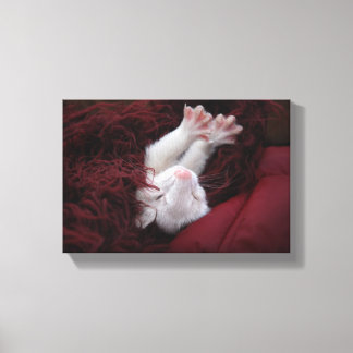 Ferret December - Stretched Canvas Prints