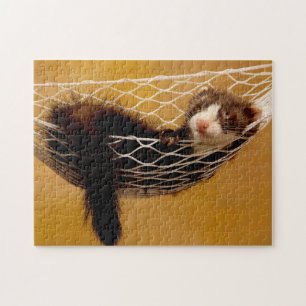 Ferret détente, Puzzle Jigsaw