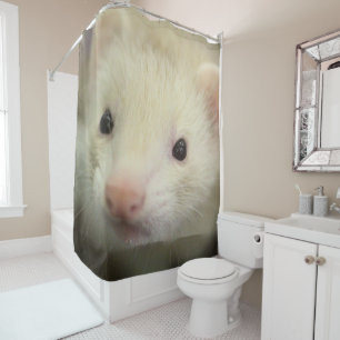 Ferret face