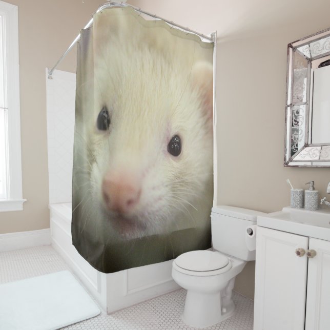Ferret face (In Situ)