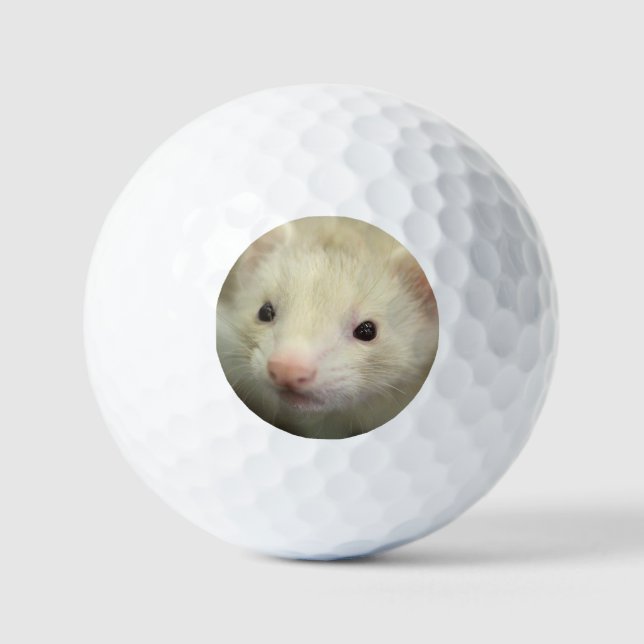 Ferret face golf balls (Front)