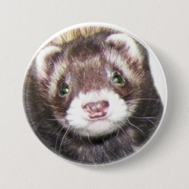 Ferret Face Picture 3 Inch Round Button (Front)