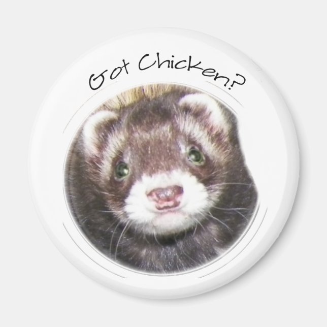 Ferret Face Picture Magnet (Front)