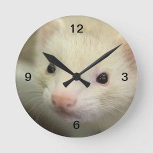 Ferret face round clock