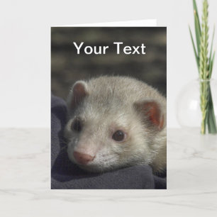Ferret Greeting Card