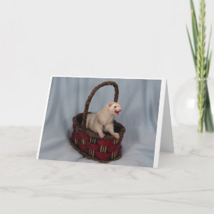 Ferret Greeting Card