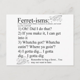 Ferret-isms & Sayings Postcard