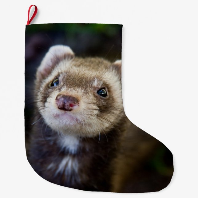 Ferret Large Christmas Stocking (Front)