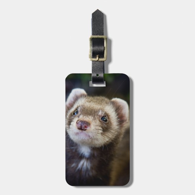 Ferret Luggage Tag (Front Vertical)