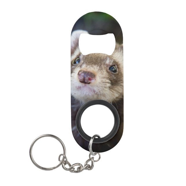 Ferret Mini Bottle Opener (Front)
