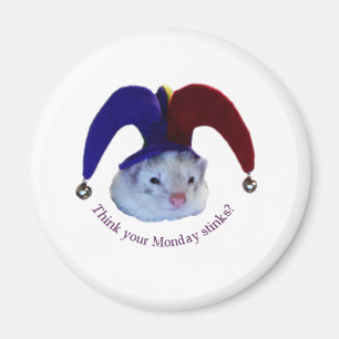 Ferret Monday Magnet