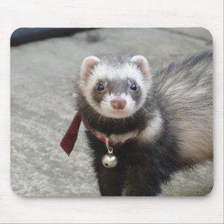 ferret mouse pad