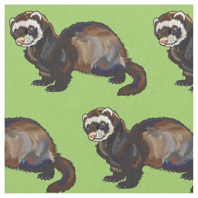 ferret (Mustela putorius furo) Fabric (Close Up)