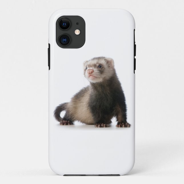 Ferret Phone cover (Back)