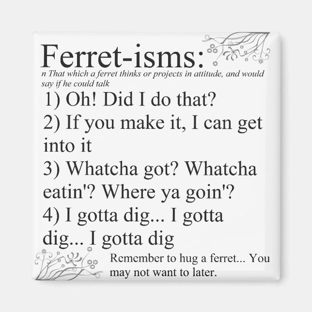 Ferret Pictures Sayings and Quotes Magnet (Front)