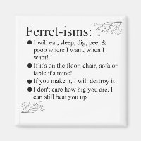 Ferret Pictures Sayings and Quotes