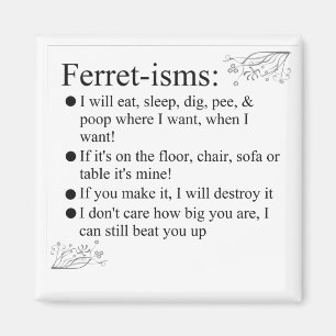 Ferret Pictures Sayings and Quotes Magnet