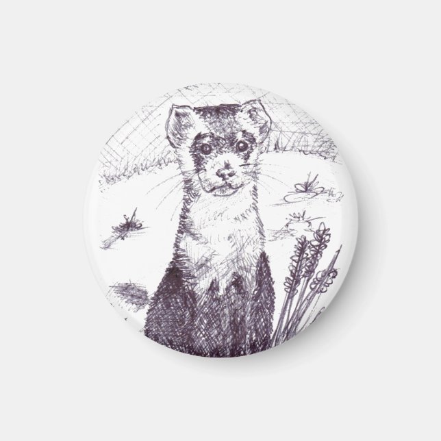 Ferret pied noir - Aimant (Devant)