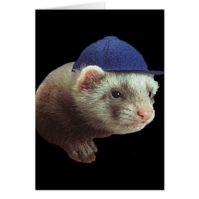 Ferret portant Casquette (Devant)